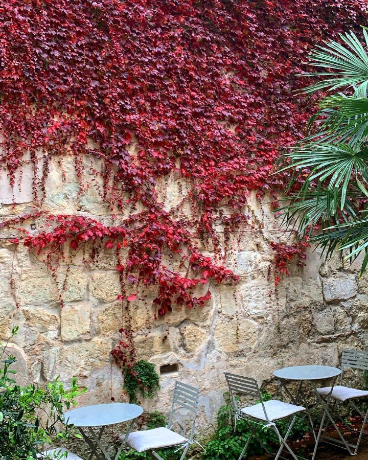 B&B La Maison Galiene Bordeaux Exterior foto